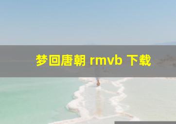 梦回唐朝 rmvb 下载